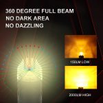 T20/S25 LED